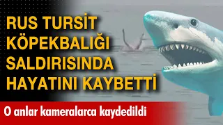 Rus turiste köpek balığı saldırdı: O anları kameralar kaydetti