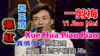 Xue Hua Piao Piao Bei Feng Xiao Xiao   費玉清的一剪梅真過癮  菲哥透露一剪梅的秘密  好聽難唱【龍兄虎弟】精華