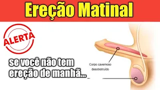 AUSÊNCIA DE EREÇÃO MATINAL PODE SER UMA ALERTA PARA...