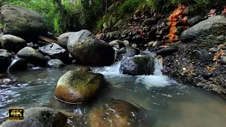 The Sound of Calm Flowing Water - The Sound of Flowing Water and the Sound of Birds Chirping