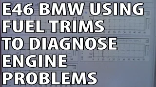 BMW 330i 325i E46 Using Fuel Trims To Diagnose Engine Problems P0171 P0174
