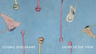 Cosmo Sheldrake - Shiny Is The View (ft. Bunty)