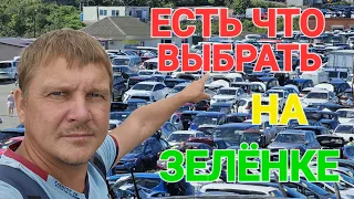 #Владивостокавторынок ЕСТЬ ЧТО ВЫБРАТЬ НА ЗЕЛЁНКЕ