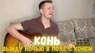 Выйду ночью в поле с конем (под гитару)