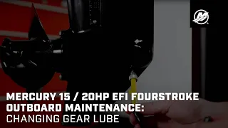 Mercury 15 / 20hp EFI FourStroke Outboard Maintenance: Changing Gear Lube
