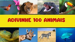ADIVINHE 100 ANIMAIS EM 10 MINUTOS (QUIZ DE ANIMAIS)🐵🐟🐻🐼