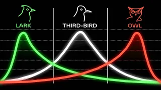 Know Your Chronotype. It'll Change Your Life.