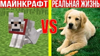 МАЙНКРАФТ ПРОТИВ РЕАЛЬНОЙ ЖИЗНИ 24 !  MINECRAFT VS REAL LIFE ! Мультик Майнкрафт