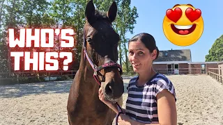 New! The most exciting this year! Who is this!? Amazing! | Friesian Horses