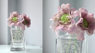 Trailer: Scabious Tutorial