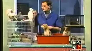 Watch The Worst Animal Show Ever