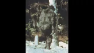 The Patterson Bigfoot Film (Stabilized, Slow and Smooth)
