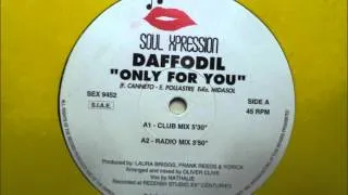 Daffodil - Only For You