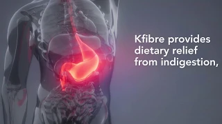 Kfibre - Relief from Dietary Indigestion and Heartburn