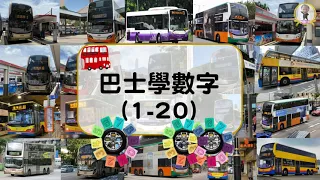 #Bentley 香港交通工具-巴士｜巴士學數字｜counting numbers ｜1-20｜巴士｜autobus | Bus ｜兒童數學學習｜Bentleysfunplay