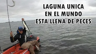 LA PESCA EN ESTE LUGAR ES ÚNICA POR LA CANTIDAD DE PECES QUE HAY