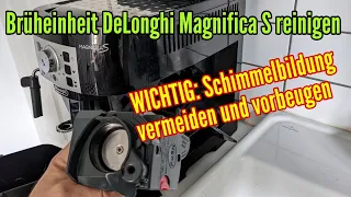 Delonghi Magnifica S Brühgruppe reinigen und Schimmel vermeiden und vorbeugen