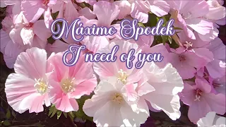 Máximo Spodek, I need of you, Instrumental Piano Love Songs, Romantic Melodies, Greatest Hits