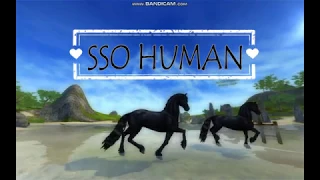 SSO Human Music Video