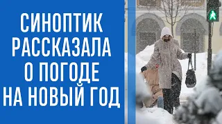 Какой будет зима и выпадет ли снег на Новый год. Синоптики дали прогноз