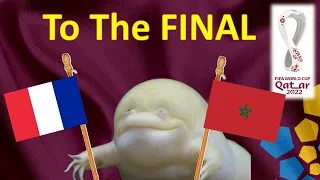 World Cup 2022 Predictions ⚽ France vs Morocco 🐸 The Guessing Frog | Semi-Finals