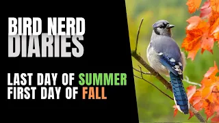 Last Day of Summer First Day of Fall | Bird Nerd Diaries