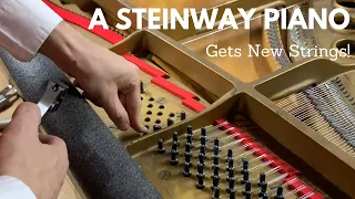 Restringing a Steinway Grand Piano 2021