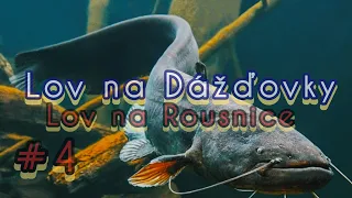 Lov na Dážďovky 4/Lov na Rousnice/Lov na Červy/Mirko Podvodný plavák/#catfish #raubfisch #river