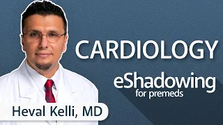 How to Become a Cardiologist with Heval Kelli, MD | eShadowing for Premeds Ep. 26