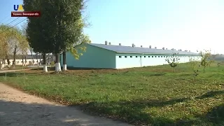 Безотходное производство наладили фермеры в Винницкой области