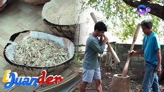 iJuander: Pagbabayo ng laruk-laruk, silipin!