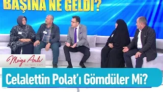 Celalettin Polat'ı öldürüp gömdüler mi? - Müge Anlı ile Tatlı Sert 3 Aralık 2019