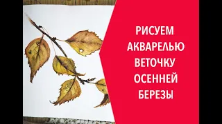 Как нарисовать осенние листья