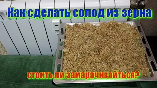 Как приготовить солод из зерна для пива или виски