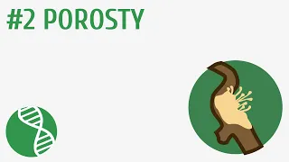 Porosty #2 [ Grzyby i porosty ]