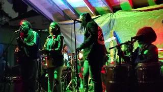 New Orleans Haitian Music - Lakou Mizik - Mardi Gras