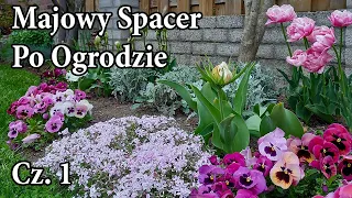 MAJOWY SPACER PO OGRODZIE / RABATA W PEŁNYM SŁOŃCU / Rośliny w moim ogrodzie / Wiosenna Rabata