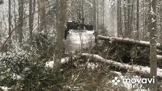 Работа в лесу. Разулись на ТДТ-55.