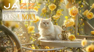 Smooth Jazz Music ☕ Relaxing morning Bossa Nova New Day full of Positive Energy