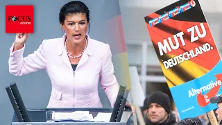 Wagenknecht plötzlich deutlich beliebter - besonders bei AfD-Wählern
