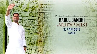 LIVE: Congress President Rahul Gandhi addresses public meeting in Damoh, Madhya Pradesh