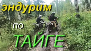 эндуро в тайге