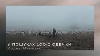 У пошуках 100-ї овечки | Радек Онисько