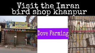 Visit the Imran bird shop khanpur part 2