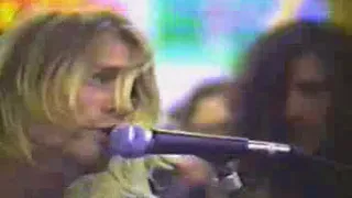 Nirvana   Video   Live at Beehive Record Store