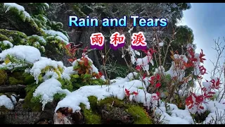 Rain and Tears---Aphrodite's Child (雨和淚)【中英字幕】