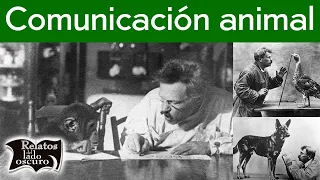 Comunicación animal | Relatos del lado oscuro