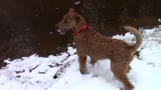 4 сезона : Зима начало