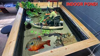 INDOOR POND build, stocked with NATIVE sunfish!