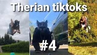 Therian tiktok compilation #4